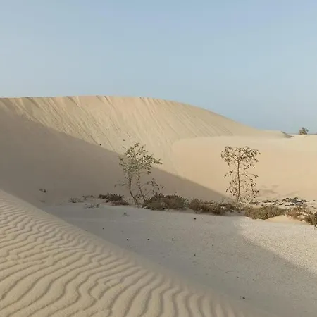 Casa Fuerta, Detached W Private Terrace Prázdninový dům Corralejo